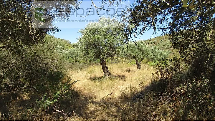 main-listing-picture-0