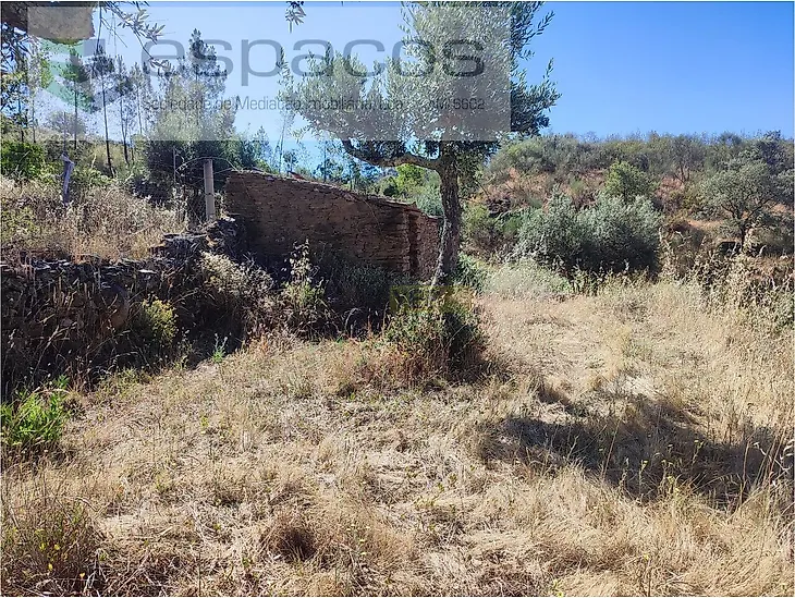 main-listing-picture-0