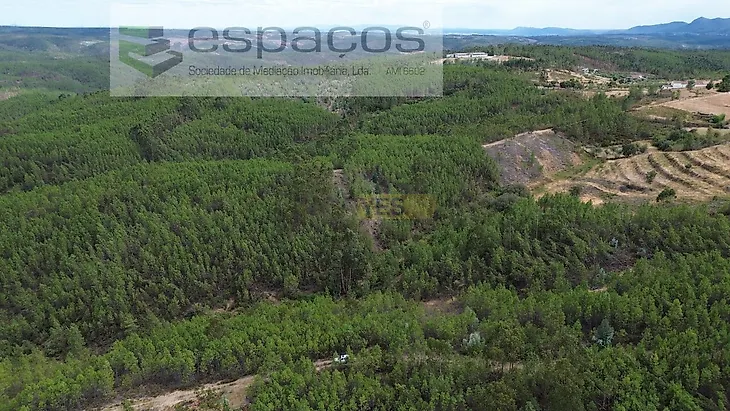 main-listing-picture-0