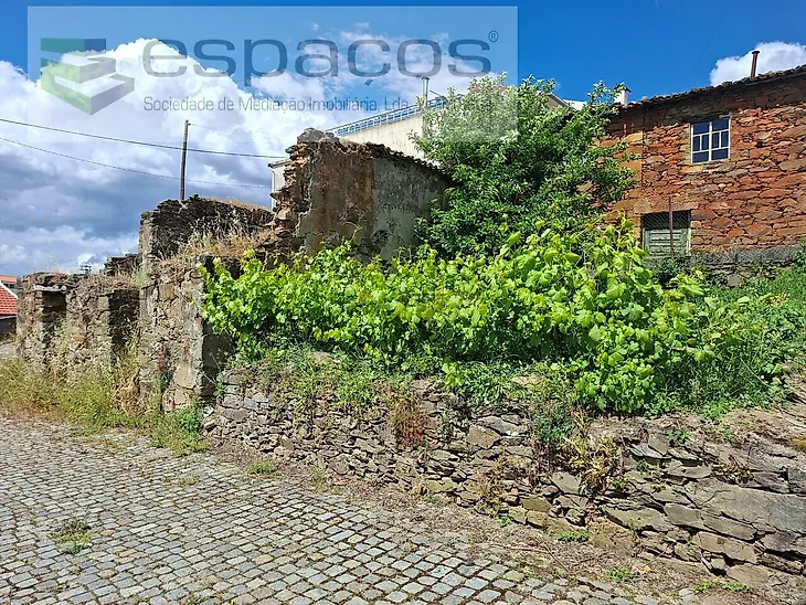 main-listing-picture-0