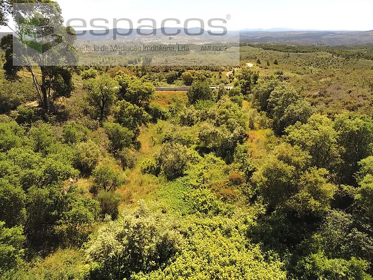 main-listing-picture-0