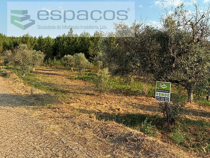 main-listing-picture-0