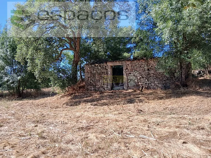 main-listing-picture-0