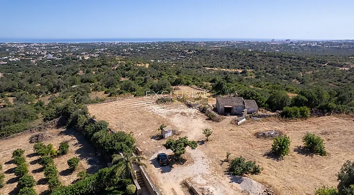 main-listing-picture-0