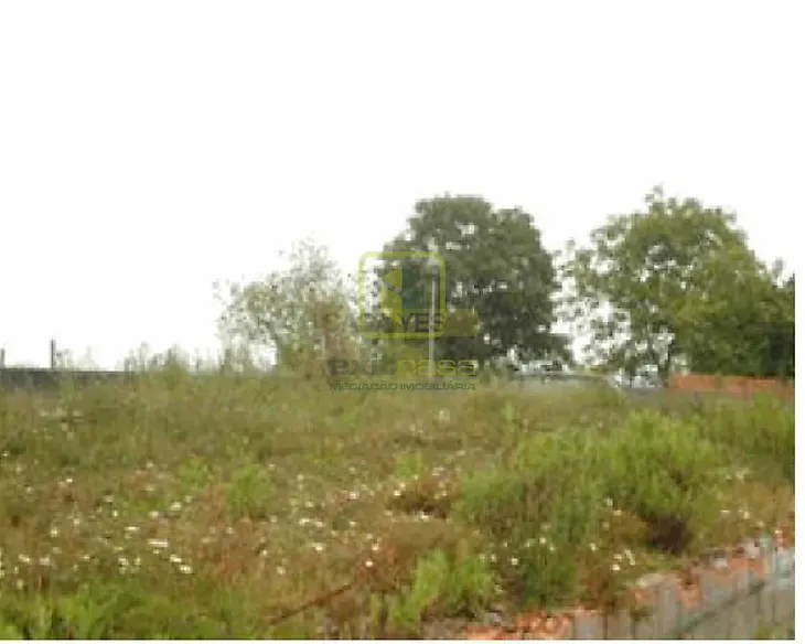 main-listing-picture-0