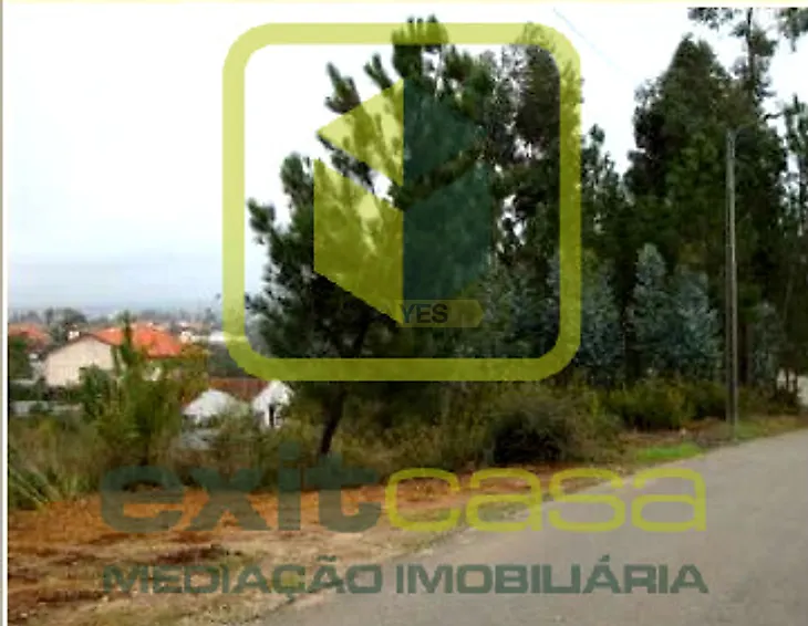 main-listing-picture-0
