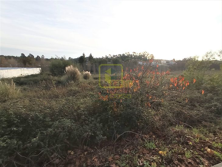 main-listing-picture-0