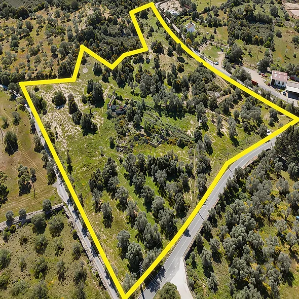 main-listing-picture-0