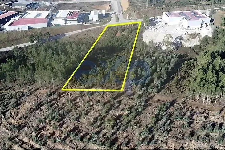 main-listing-picture-0