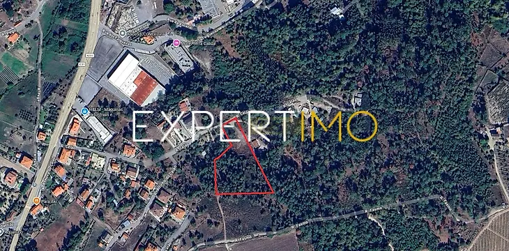 main-listing-picture-0