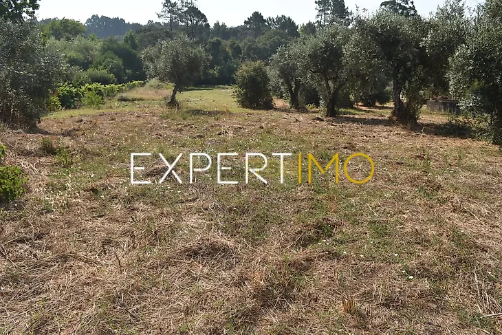 main-listing-picture-0