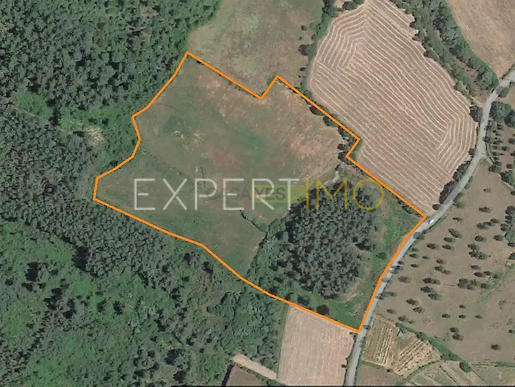 main-listing-picture-0