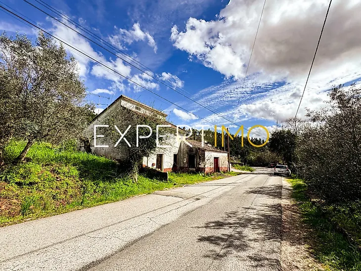main-listing-picture-0