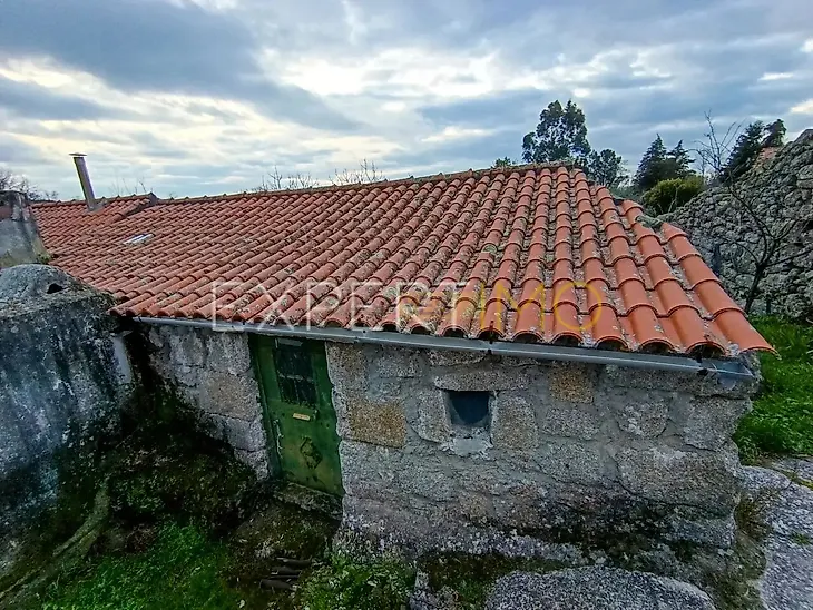 main-listing-picture-0