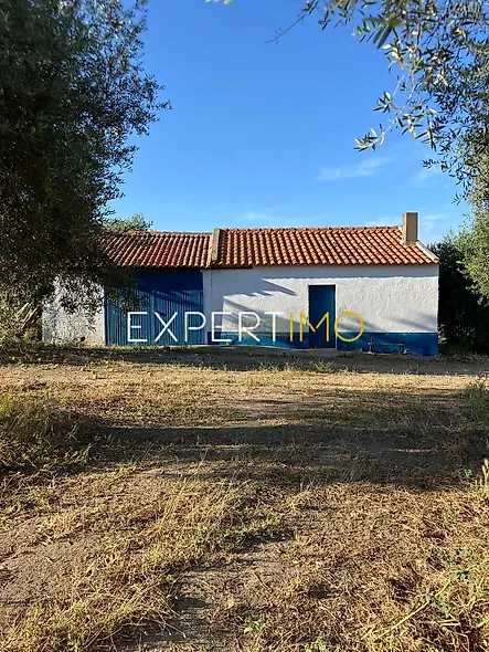main-listing-picture-0