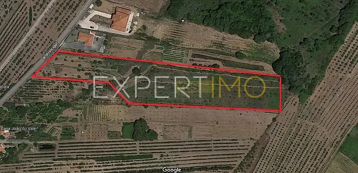 main-listing-picture-0