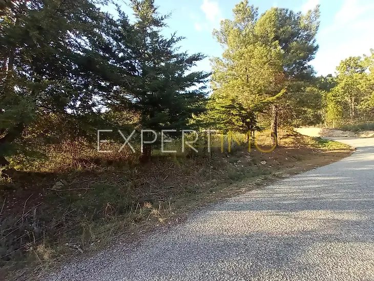 main-listing-picture-0
