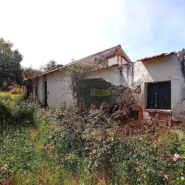 main-listing-picture-0