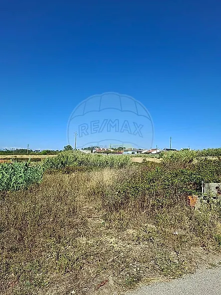 main-listing-picture-0
