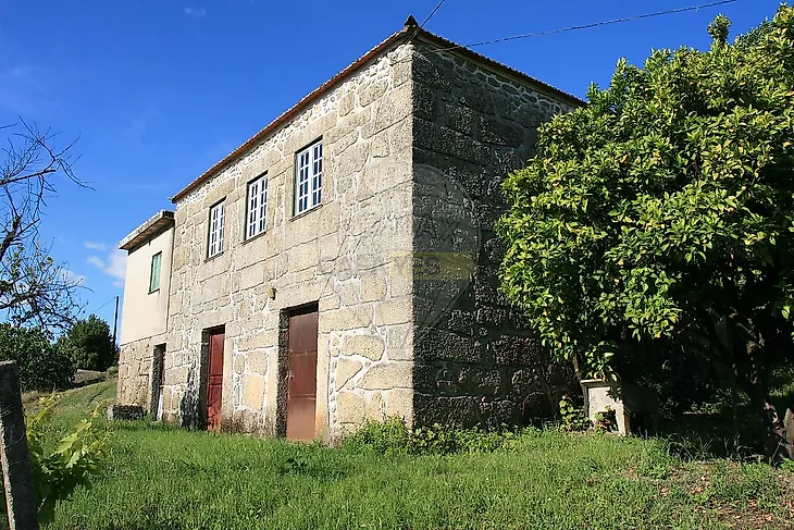 main-listing-picture-0