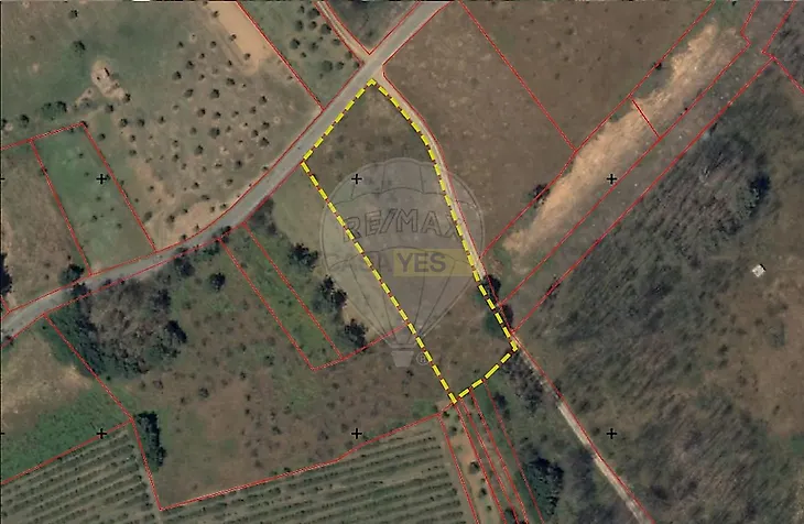 main-listing-picture-0