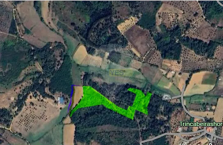 main-listing-picture-0