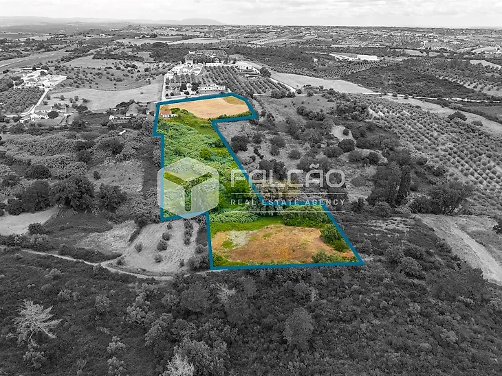 main-listing-picture-0
