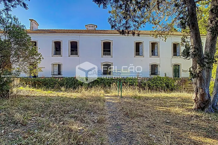 main-listing-picture-0