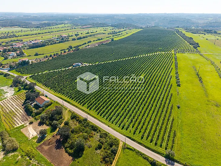main-listing-picture-0