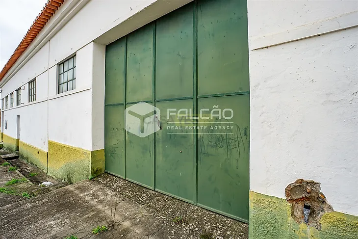 main-listing-picture-0