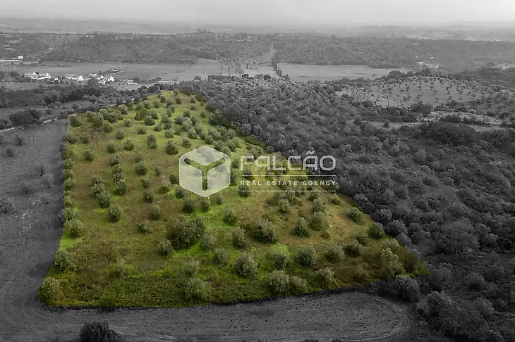 main-listing-picture-0