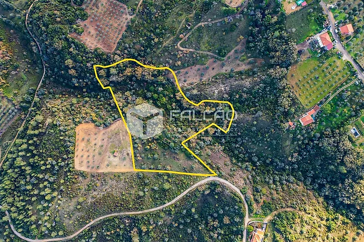 main-listing-picture-0