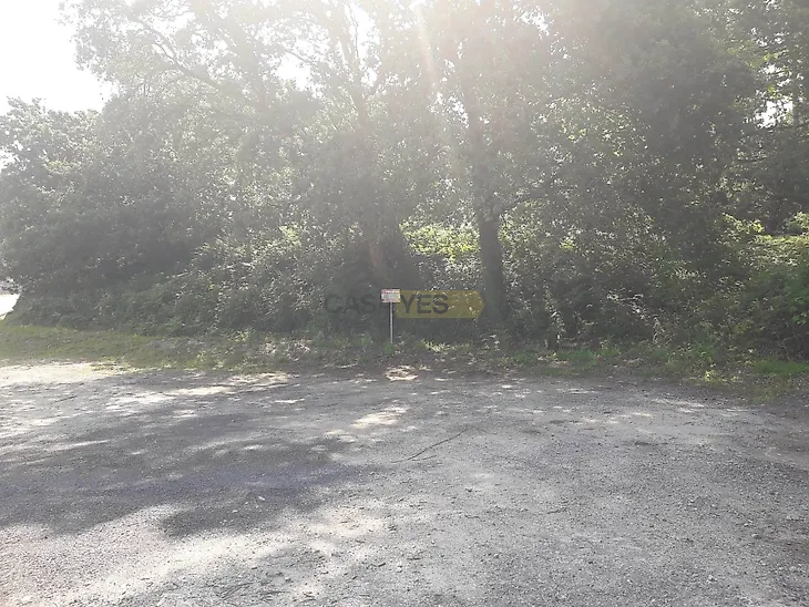 main-listing-picture-0