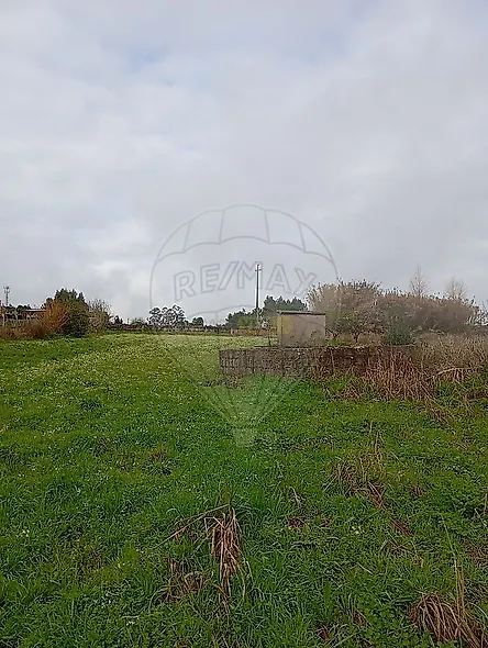 main-listing-picture-0