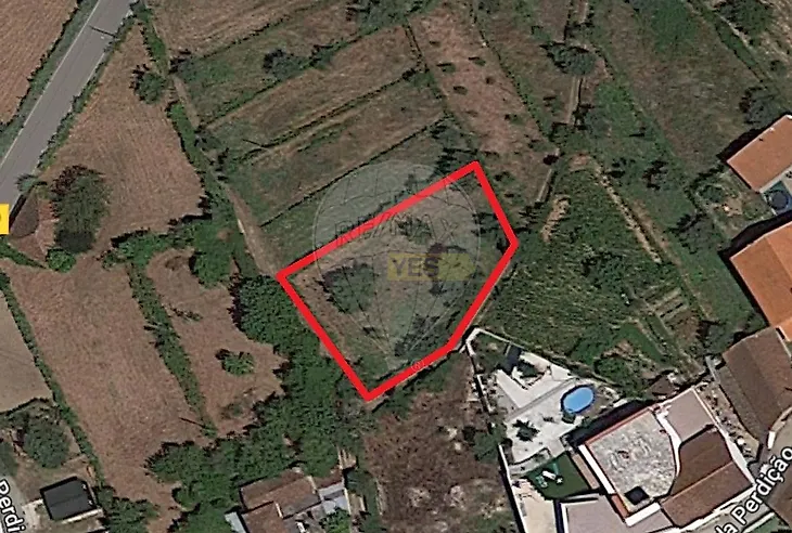 main-listing-picture-0