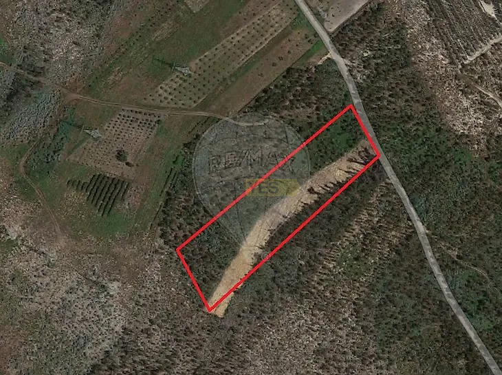 main-listing-picture-0