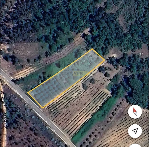main-listing-picture-0