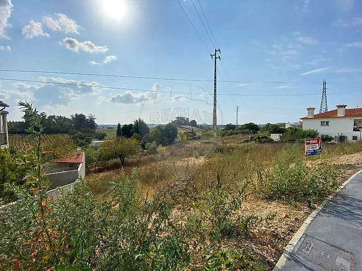main-listing-picture-0