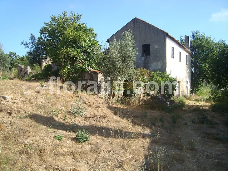 main-listing-picture-0