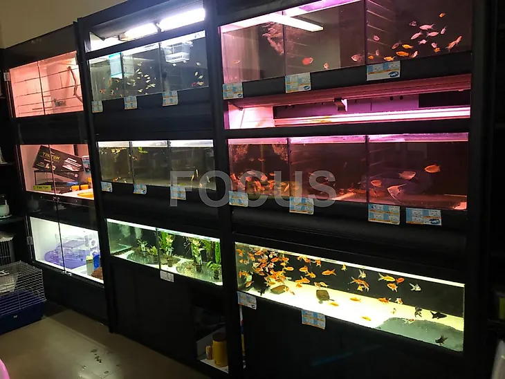 main-listing-picture-0