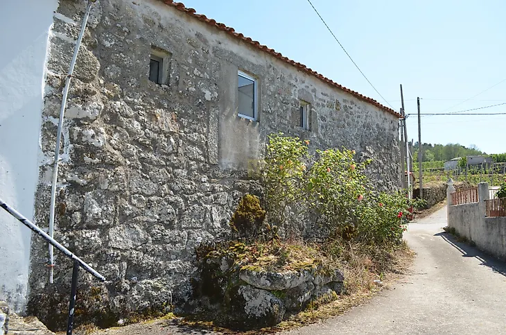 main-listing-picture-0
