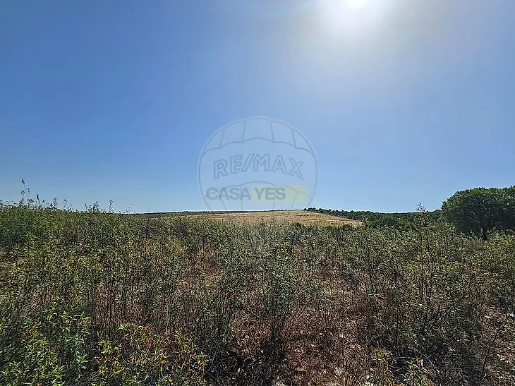 main-listing-picture-0