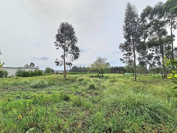 main-listing-picture-0