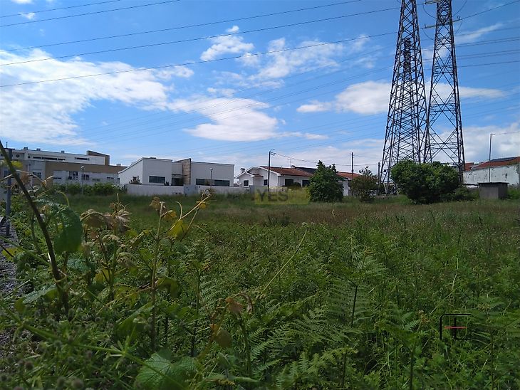 main-listing-picture-0