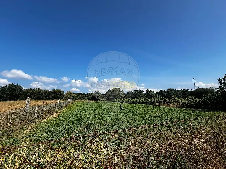 main-listing-picture-0