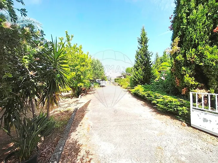 main-listing-picture-0