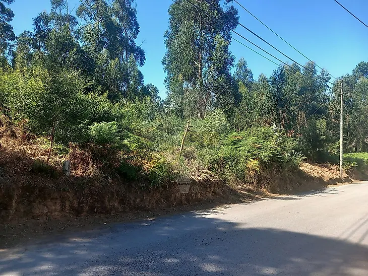 main-listing-picture-0