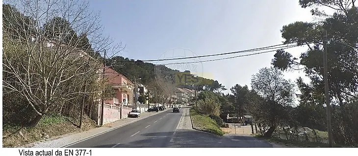 main-listing-picture-0