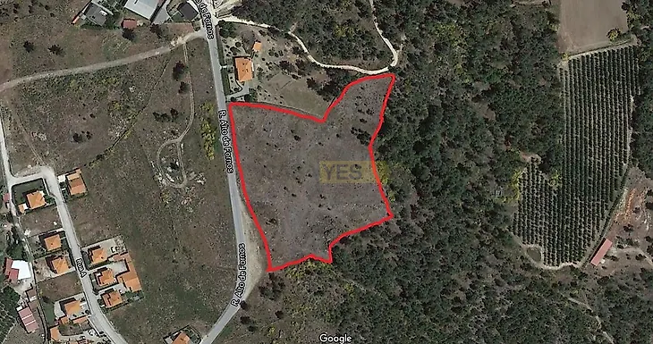 main-listing-picture-0