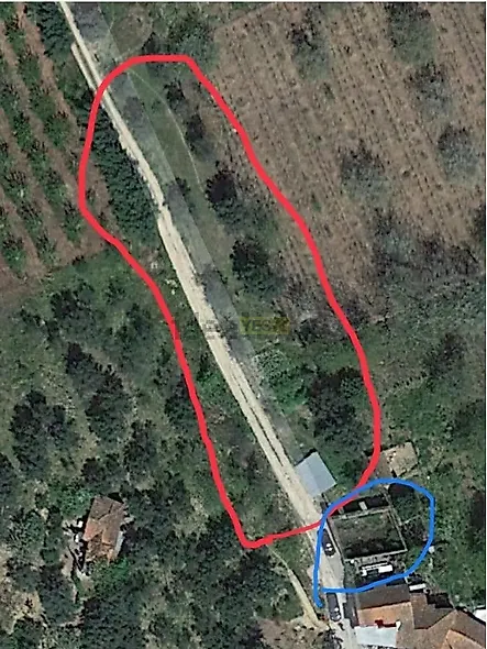 main-listing-picture-0